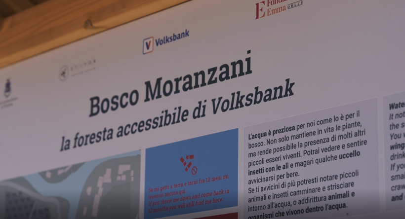Riforestazione e inclusività: anniversario del Bosco Moranzani