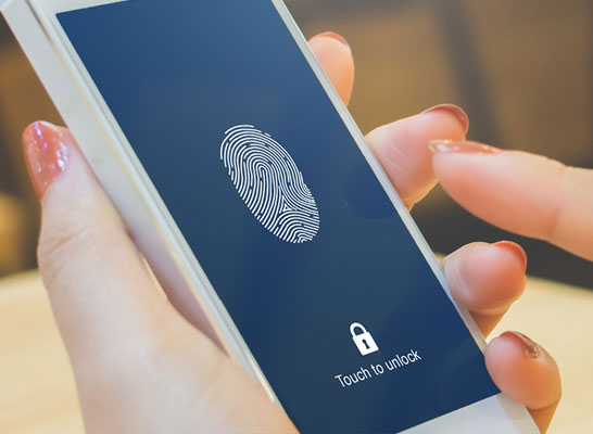 Fingerprint