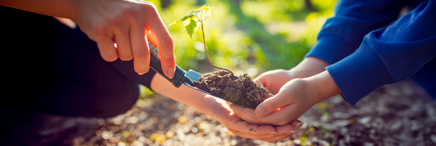 Bonus regionale Trentino - Alto Adige