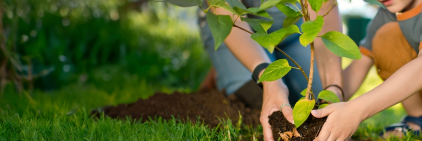 Bonus Regionale Friuli Venezia Giulia