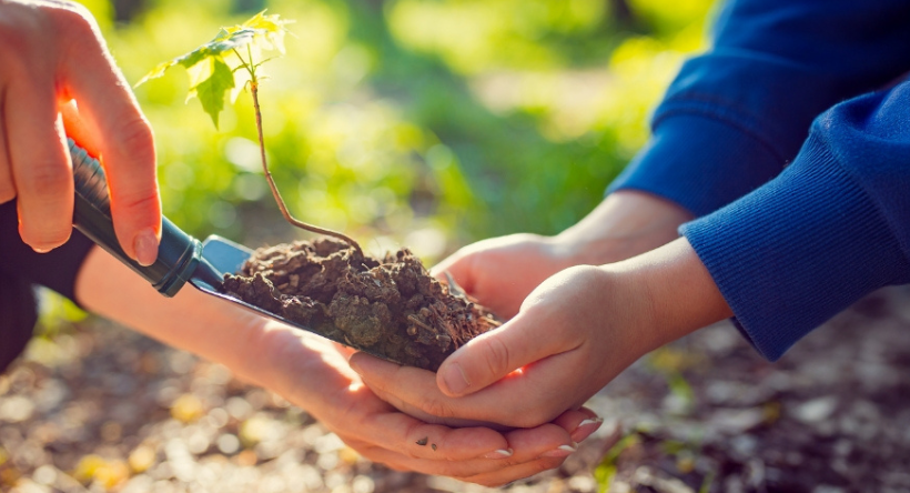 Bonus Regionale Friuli Venezia Giulia
