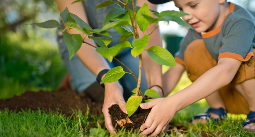 Förderung in Trentino-Südtirol